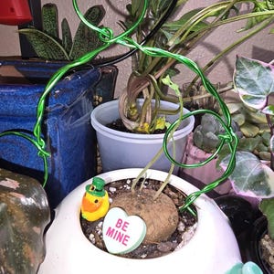 M added a photo of their purchase