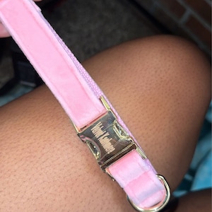Megahn added a photo of their purchase
