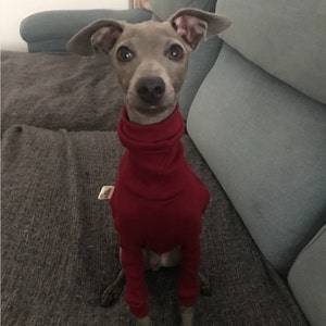 Italian Greyhound Whippet Iggy Vacuum Blueprint Sweatshirt