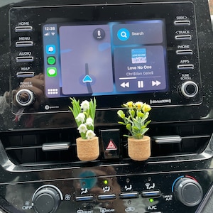Britt added a photo of their purchase
