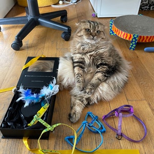 Liz a ajouté une photo de son achat