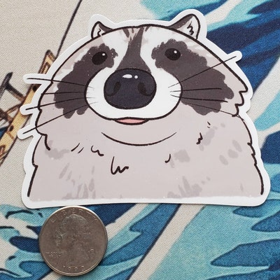 Raccoon Close up Funny Sticker Raccoon Sticker Gifts Under 10 Water ...
