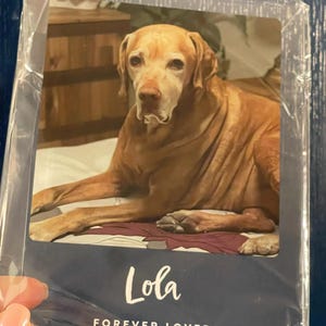 Etsy buyer added a photo of their purchase