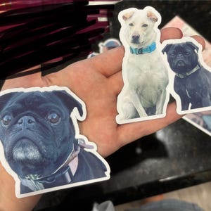 Amanda added a photo of their purchase