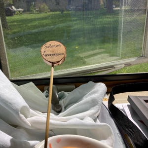 Melena added a photo of their purchase