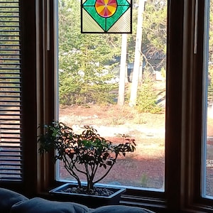 Steve added a photo of their purchase