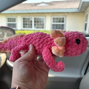 Abby added a photo of their purchase