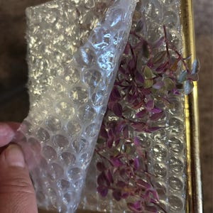Laisy added a photo of their purchase