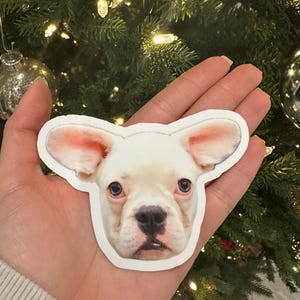 Danella added a photo of their purchase