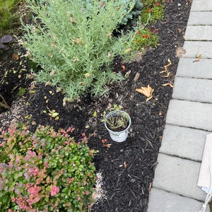 Peggy hat ein Foto des gekauften Artikels hinzugefügt