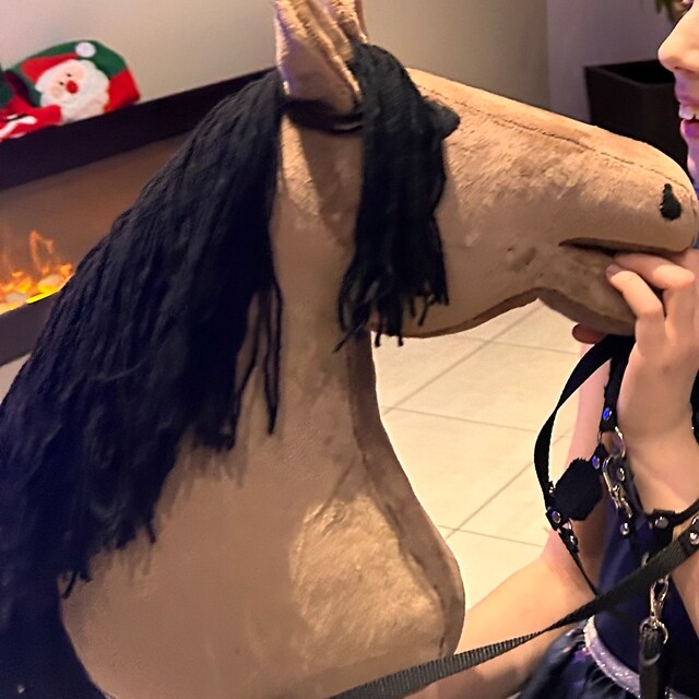 Hobby Horse Brun – Cheval Bâton Avec Licol, Rênes Et Roues – Set Complet – Cadeau Enfant Dès 3 Ans