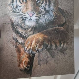 Tammy added a photo of their purchase