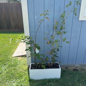 Marcus added a photo of their purchase