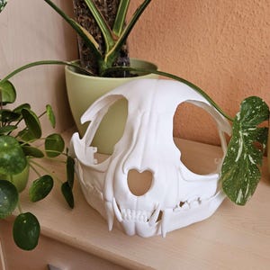 Tokin さんが購入した商品の写真を追加しました
