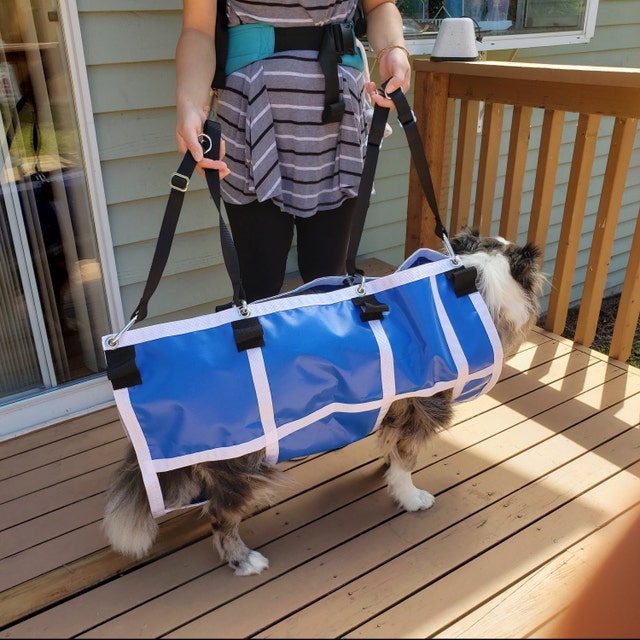 Grooming sling clearance for large dogs