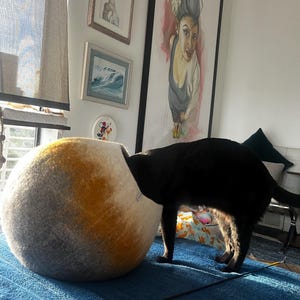 Anneke added a photo of their purchase