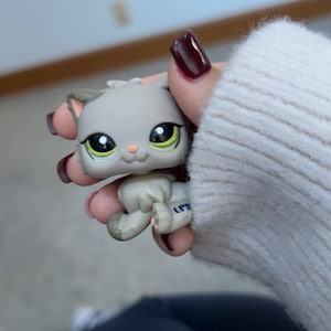 Figurine My Littlest Pet Shop LPS – Chat Persan N°2465 Par Hasbro, Collection