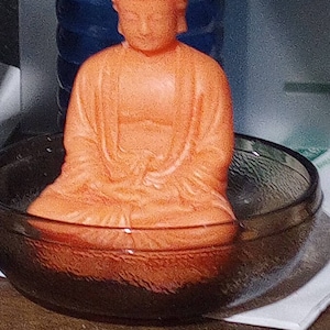 Sharron added a photo of their purchase