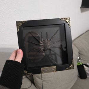 Jeshua heeft een foto van de aankoop toegevoegd