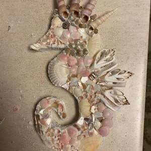 Bumble Bee Sea Shells-sea Shell Bulk-craft Shell-coastal Home | Etsy