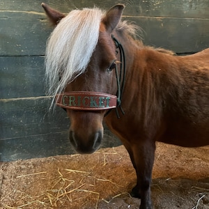 Ella ha aggiunto una foto del proprio acquisto