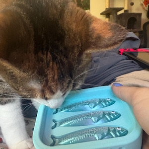 Adeline added a photo of their purchase