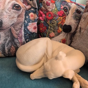 Nicola added a photo of their purchase