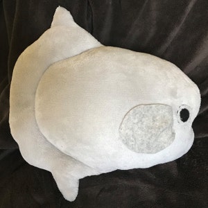 mola mola plush