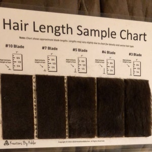 Dog Grooming Hair Length Sample Chart