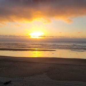 Marcie ha aggiunto una foto del proprio acquisto