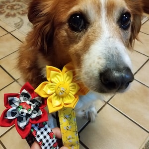 Hollie added a photo of their purchase
