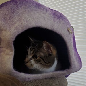 shelby added a photo of their purchase