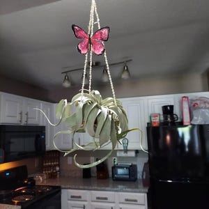 Charmaine added a photo of their purchase