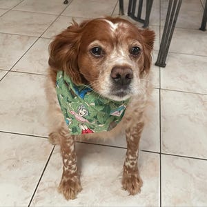 Danielle added a photo of their purchase