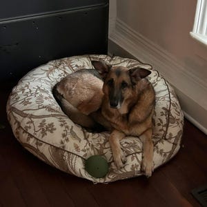 Chase added a photo of their purchase