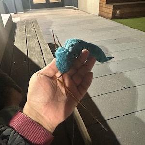 Lynn ha aggiunto una foto del proprio acquisto