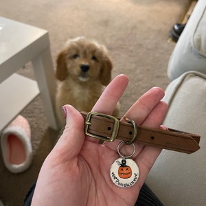 Jules added a photo of their purchase