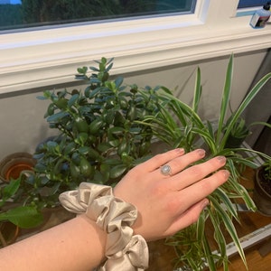 C added a photo of their purchase