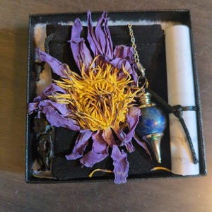 Allison さんが購入した商品の写真を追加しました