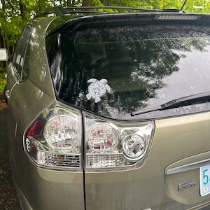 Callie added a photo of their purchase