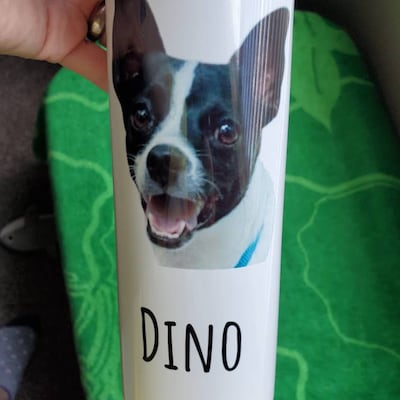 Custom Your Pets Tumbler, Retro Vintage Pet Portrait Tumbler, Personalized with Your Own Dog or Cat Photo C775