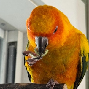 Yelitza added a photo of their purchase