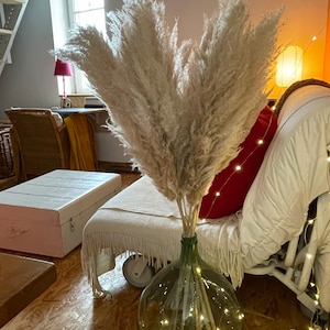 Claude added a photo of their purchase
