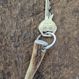 Andreas added a photo of their purchase