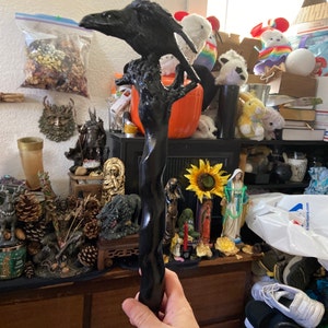 Raven Skeleton Prop Adult Natural