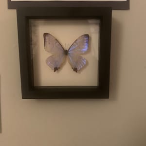 Asia added a photo of their purchase