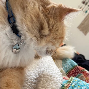 Tova added a photo of their purchase