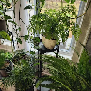 Dawn ha añadido una foto de su compra