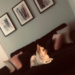Aimee added a photo of their purchase