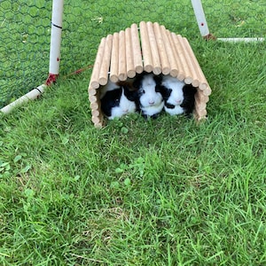 Mk added a photo of their purchase